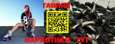 стаф Шелехов