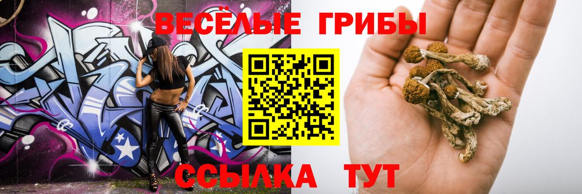 Галлюциногенные грибы мухоморы Нальчик