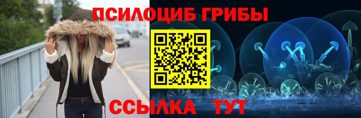 Псилоцибиновые грибы GOLDEN TEACHER  Вход с VPN  Нальчик 